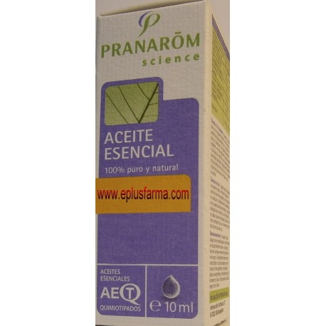 Abeto Negro Aceite esencial de Pranarom 10 ml