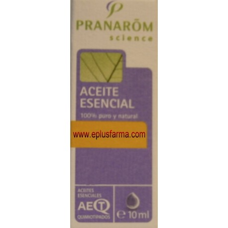 Eucalipto hoja aceite esencial de Pranarom 10 ml