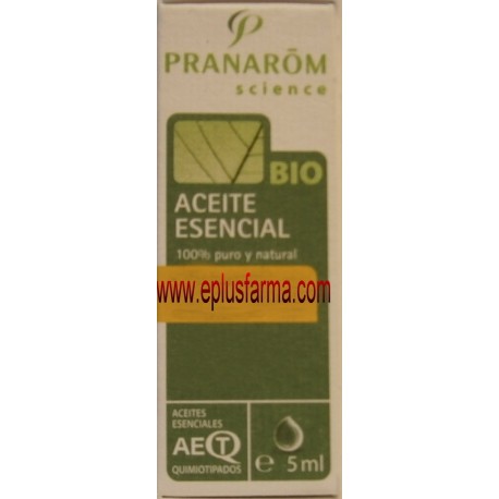 Eucalipto Radiata aceite esencial de Pranarom 10 ml