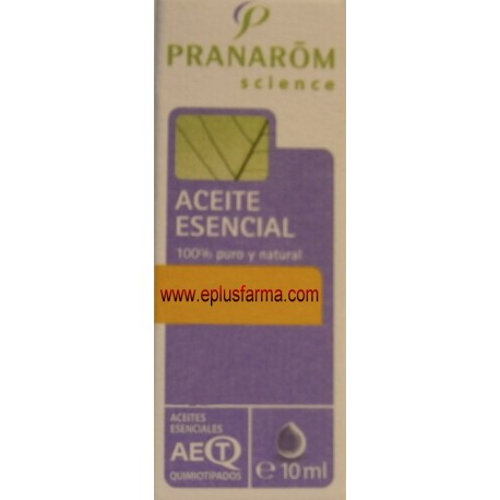 Rosa de Damasco Flor aceite esencial de Pranarom 5 ml