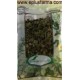 Pulmonaria bolsa 25 gr Soria Natural