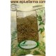 Verbena bolsa 40 gr Soria Natural