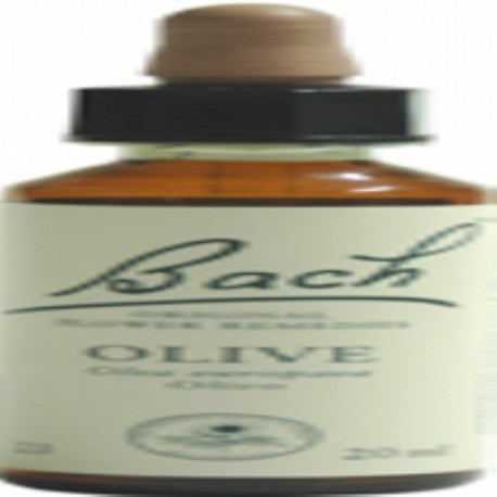 Olive - Olivo Flores de Bach