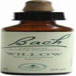Willow / Sauce Flores de Bach